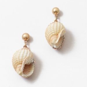 Gold Seashell Handmade Earrings